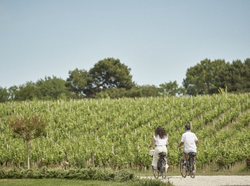Visiter le vignoble bordelais à vélo !