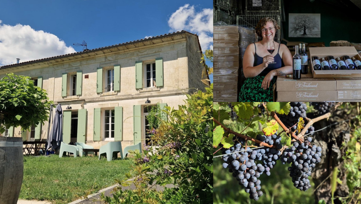 Château St Ferdinand - 1