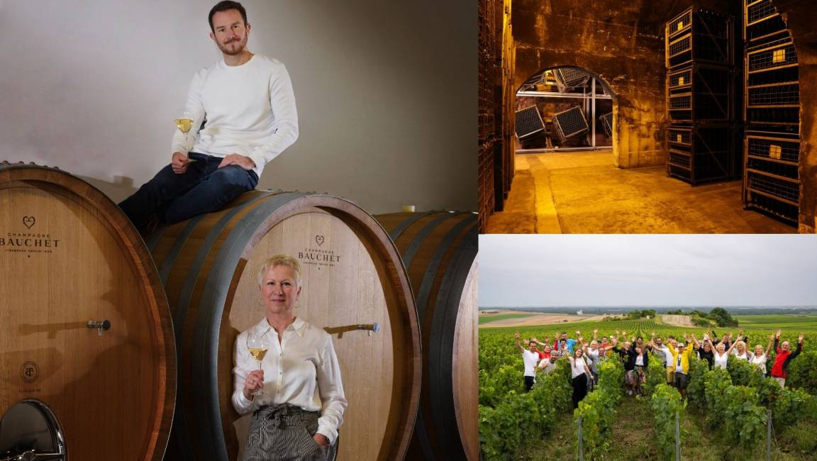 Domaine Bauchet - 1