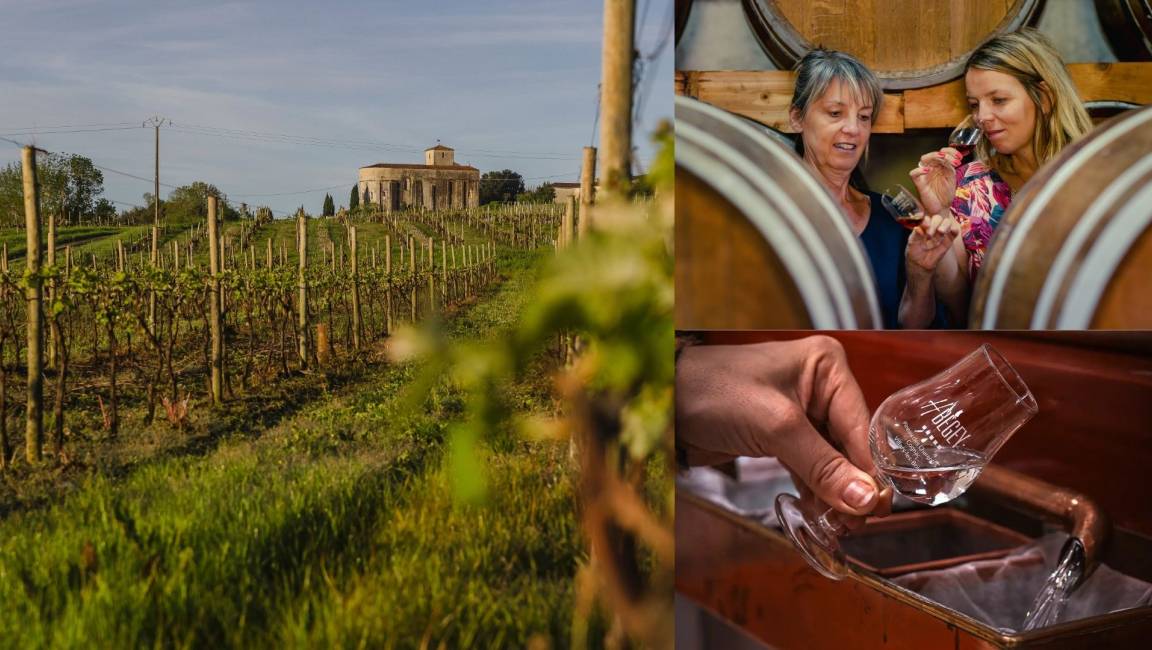 Vignoble Begey - 1