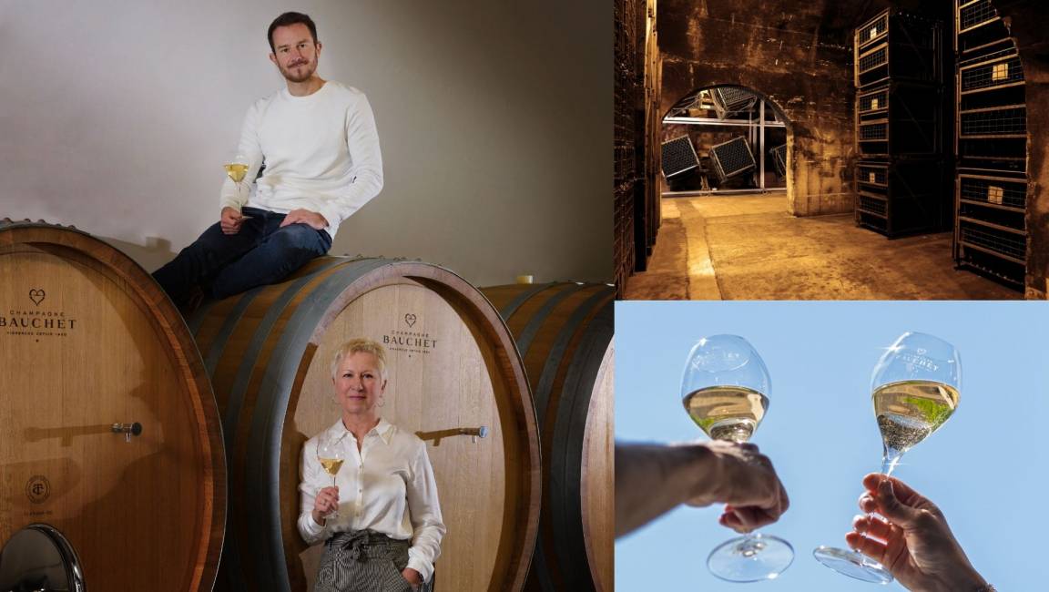 Domaine Bauchet - 1