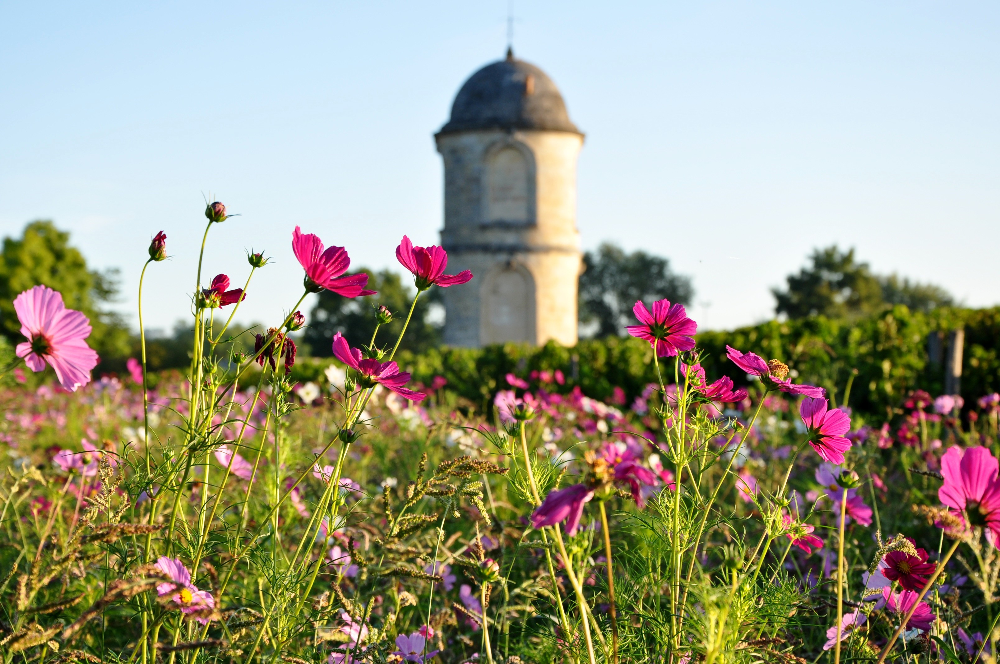 Château de Portets, Graves et Sauternes, La Bulle Verte 